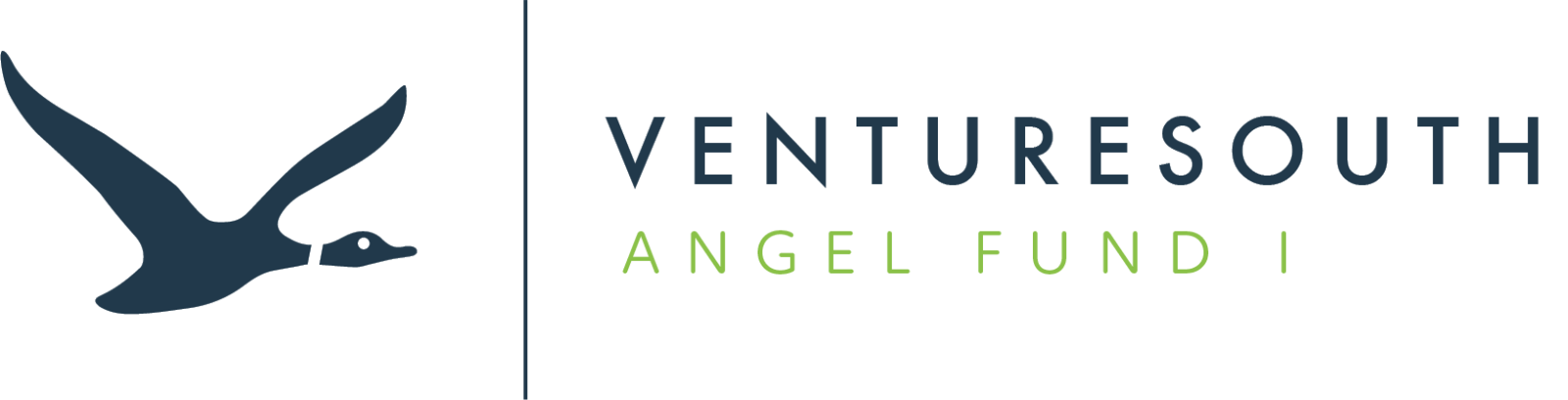 VentureSouth launches the Palmetto Angel Fund