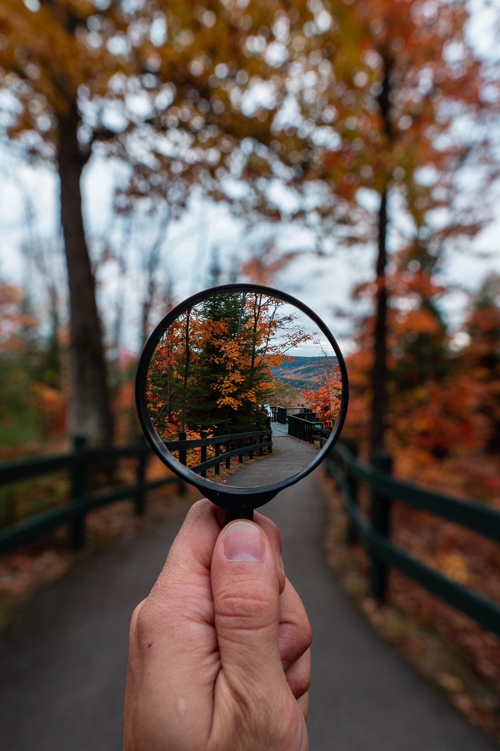 Transparency Builds Trust