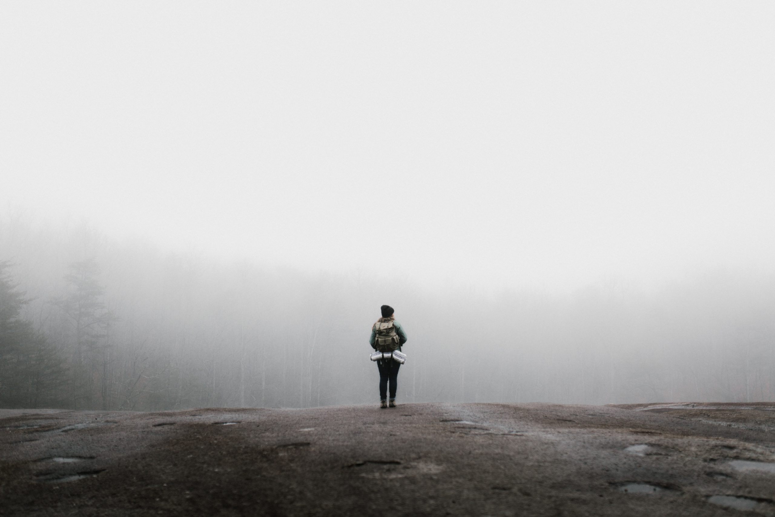 5 Questions for the Capital Seeker
