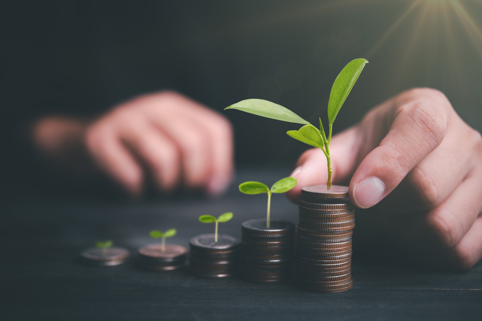 Intro to SSRN series: Angel Investors and their Investments