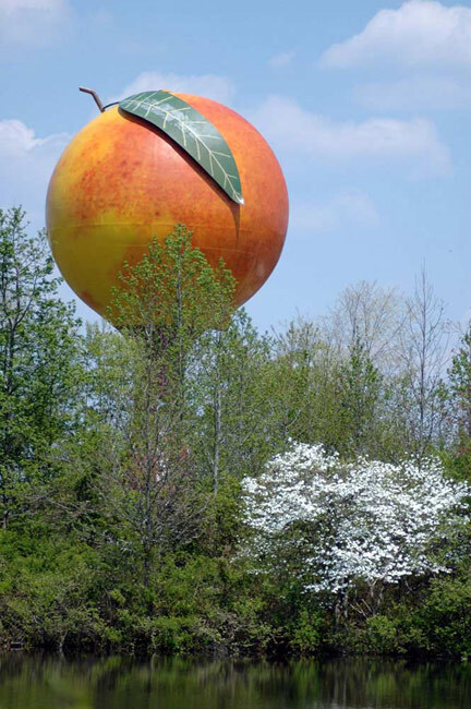Agtech in the South